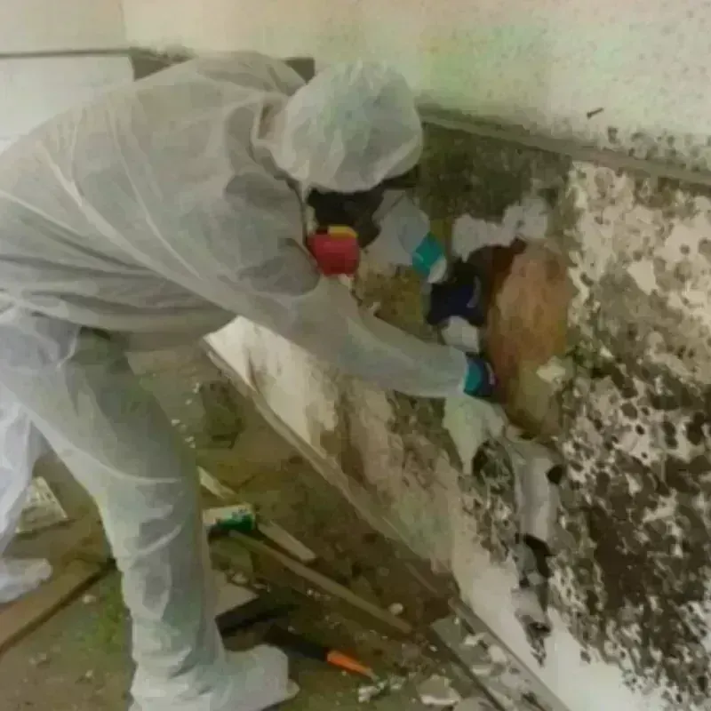 Mold Remediation and Removal in Brookline, NH